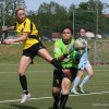 bornaer sv 91 gegen ffv4 22.05.2016  8